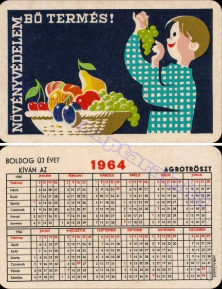 NÖVÉNYVÉDELEM BŐ TERMÉS! AGROTRÖSZT 1964_0019.jpg