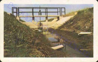 1976 0388
