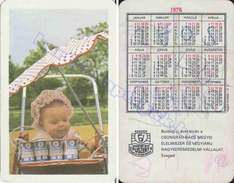 BUÉK A CSONGRÁD-BÁCS MEGYEI FÜSZÉRT SZEGED 1976_0521.jpg
