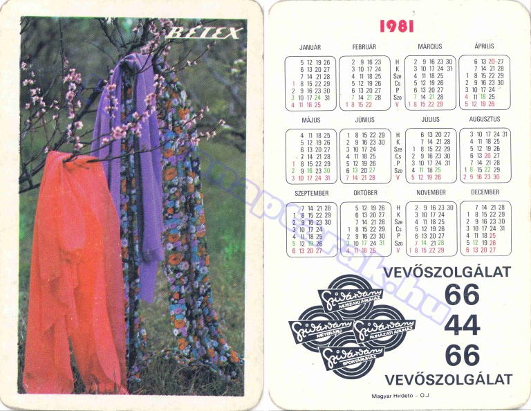 BÉTEX SZIVÁRVÁNY ÁRUHÁZ VEVŐSZOLGÁLAT 66-44-66 1981_0093.jpg