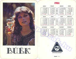 1981 0251