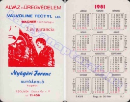 1981 0731
