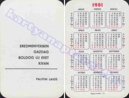 1981 0738