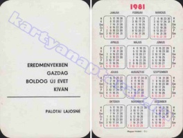 1981 0739