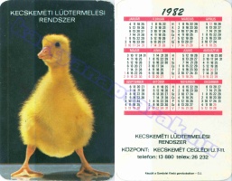 1982 0058