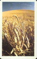 1982 0640