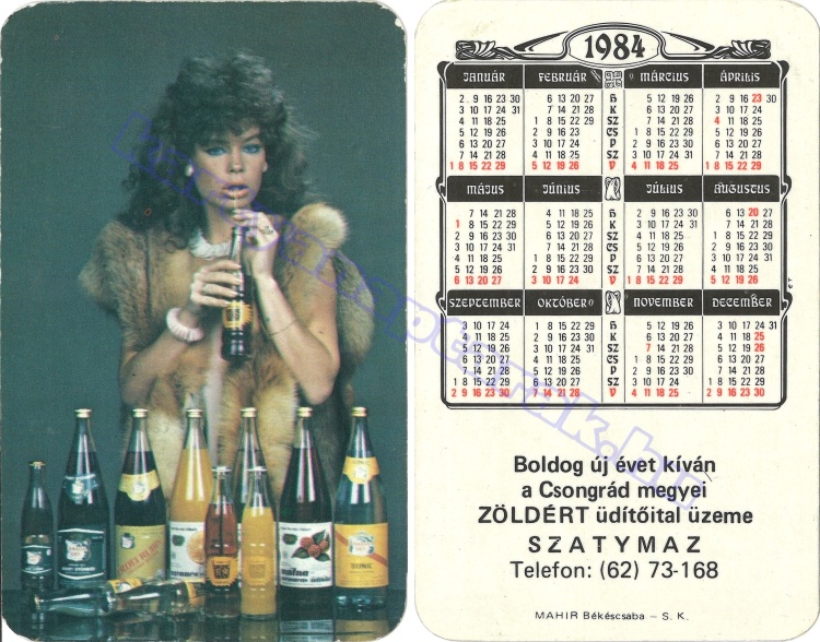 ET-ÜD BUÉK A CSONGRÁD MEGYEI ZÖLDÉRT ÜDÍTŐITAL ÜZEME SZATYMAZ 1984_0121.jpg