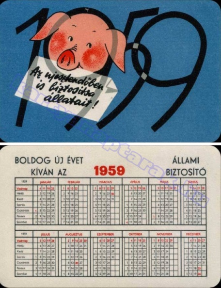 AZ ÚJESZTENDŐBEN IS BIZTOSÍTSA ÁLLATAIT! 1959_0044.jpg