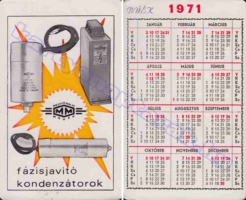 1971 0481