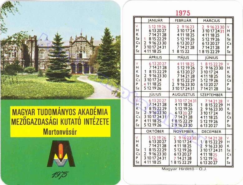 MAGYAR TUDOMÁNYOS AKADÉMIA MEZŐGAZDASÁGI KUTATÓ INTÉZETE MARTONVÁSÁR 1975_0134.jpg