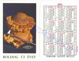1975 0199