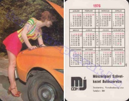 1976 0695