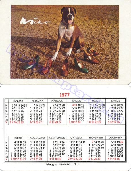 NINÓ 1977_0277.jpg