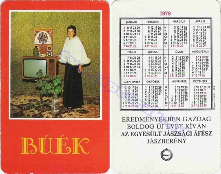 BUÉK EREDMÉNYEKBEN GAZDAG BUÉK AZ EGYESÜLT JÁSZSÁGI ÁFÉSZ JÁSZBERÉNY 1979_0321.jpg