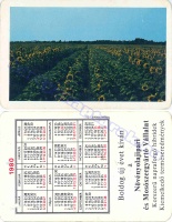1980 0245