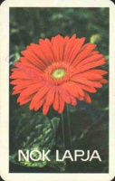 1980 0416