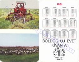 1981 0335