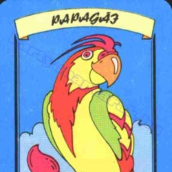 Papagáj - Parrot