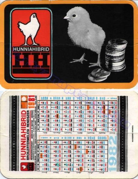 HUNNIAHIBRID BROILERTERMELÉSI RENDSZER RENDSZERKÖZPONT MÁRCIUS 15 MGTSZ HERNÁD 1981_0534.jpg