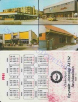 1981 0601