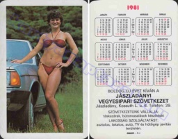 1981 0662