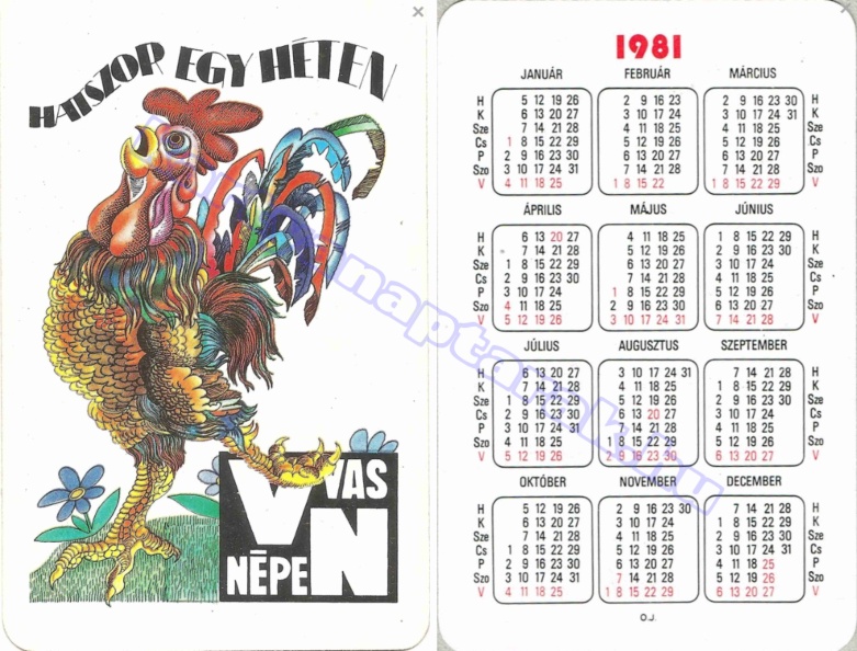 HATSZOR EGY HÉTEN VAS NÉPE 1981_0807.jpg