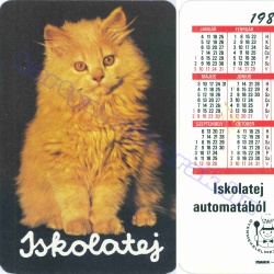Macska - Cat