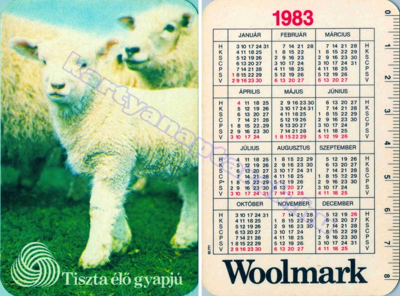 TISZTA ÉLŐ GYAPJÚ WOOLMARK 1983_0263.jpg