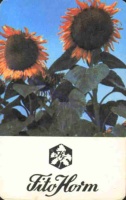 1983 0396