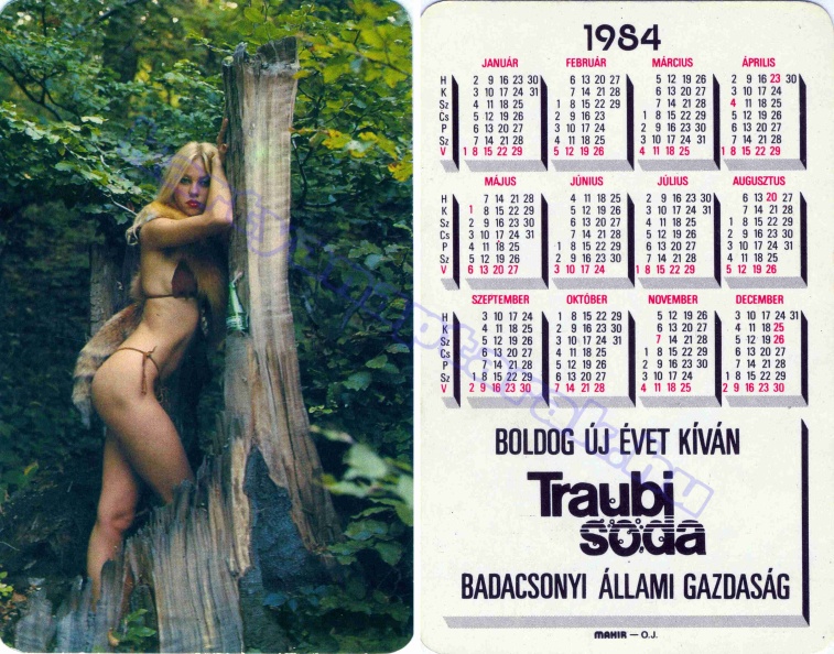 BUÉK TRAUBISODA BADACSONYI ÁLLAMI GAZDASÁG 1984_0072.jpg