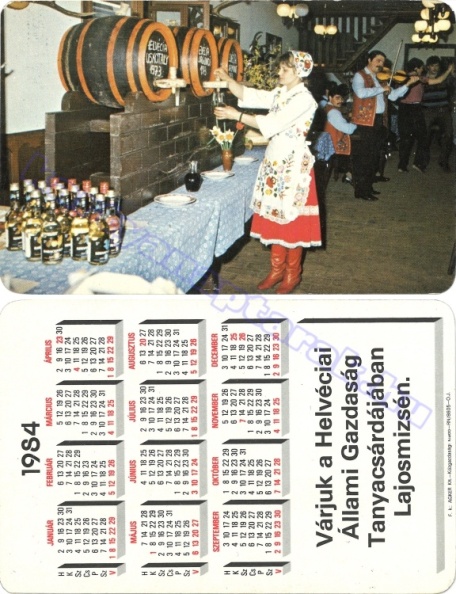 VÁRJUK A HELVÉCIAI ÁLLAMI GAZDASÁG TANYACSÁRDÁJÁBAN LAJOSMIZSÉN 1984_0274.jpg