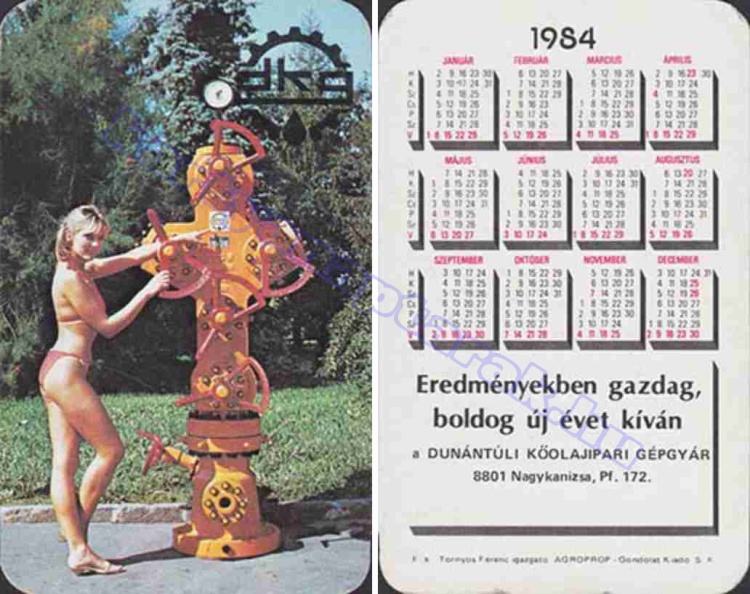 DKG A DUNÁNTÚLI KŐOLAJIPARI GÉPGYÁR NAGYKANIZSA 1984_0692.jpg