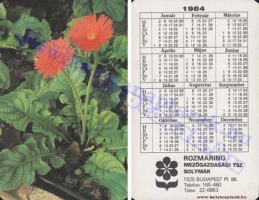 1984 0839