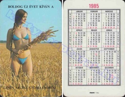 1985 0591