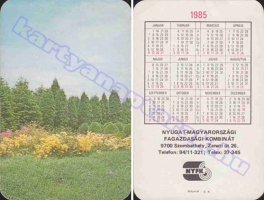 1985 0704